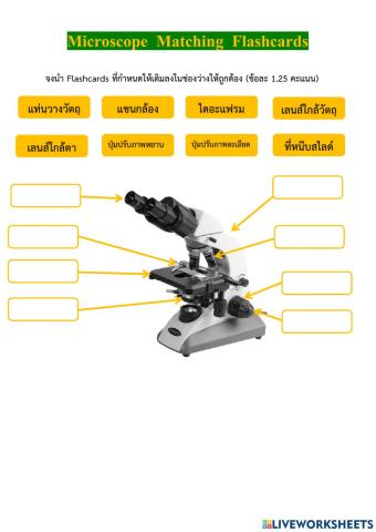 Microscope Matching Flashcards