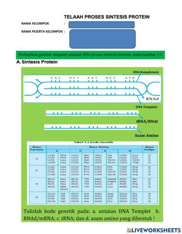 Sintesis protein explor