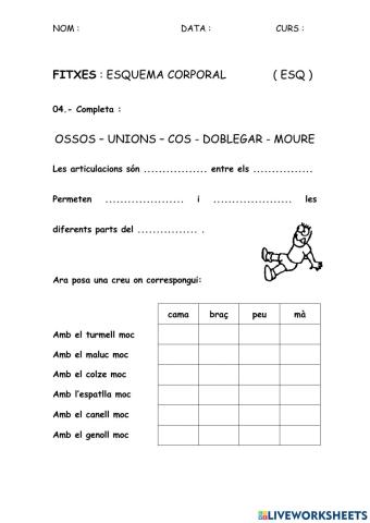 ESQ - Esquema corporal 04