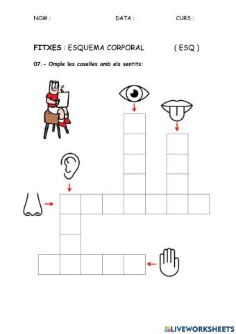 ESQ - Esquema corporal 07