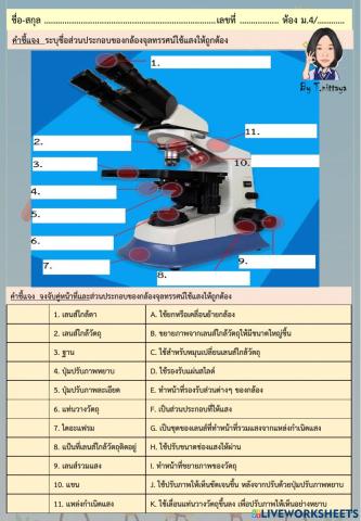 ส่วนประกอบและหน้าที่ กล้องจุลทรรศน์