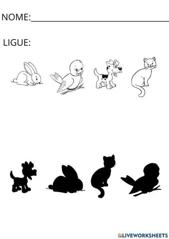 Ligue os animais