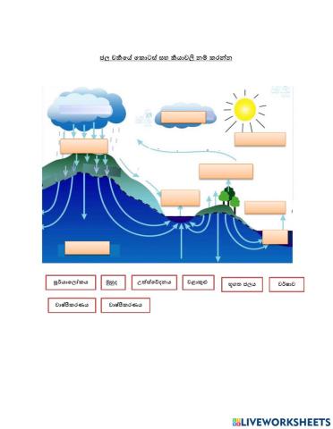 Water Cycle