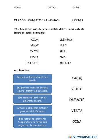 ESQ - Esquema corporal 09