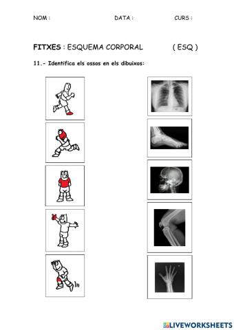 ESQ - Esquema corporal 11