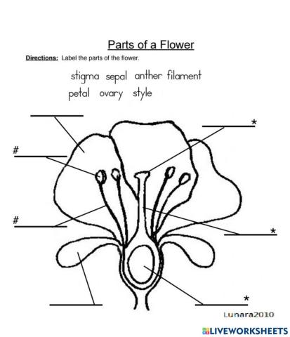 Parts of a Flower