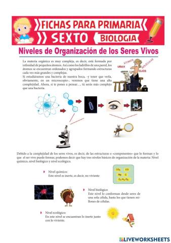 Niveles de organización de los seres vivos