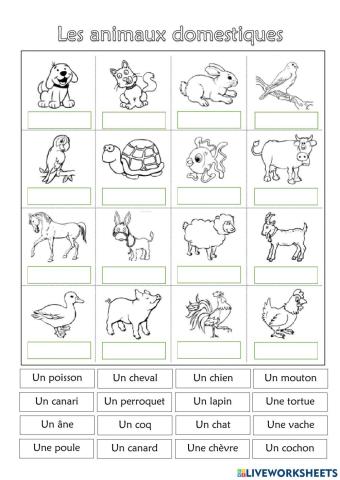 Les animaux