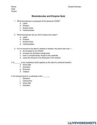 Biomolecules and Enzymes Quiz