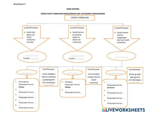 Mind Maping Gerak Tumbuhan