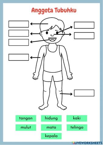 Anggota Tubuhku-Pendidikan Agama Katolik