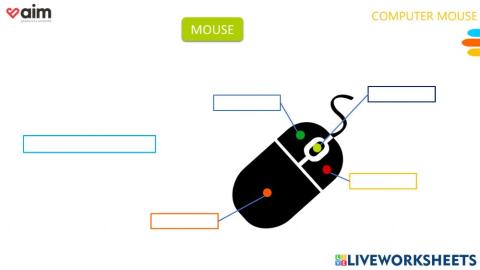 Computer Mouse