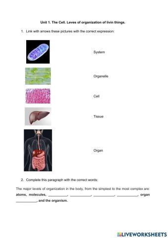 Levels of organization of living things