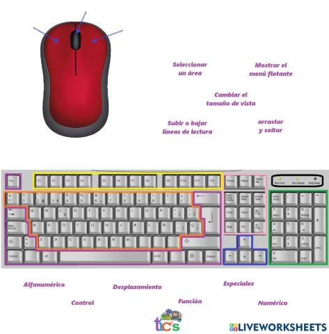 Dispositivos básicos de la computadora