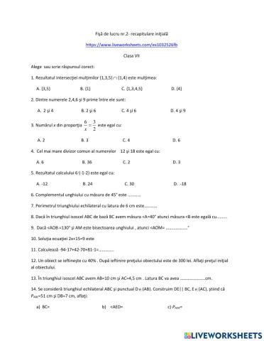 Fisa nr. 2 recapitulare initiala, clasa VII