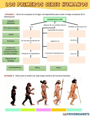 Los primeros homínidos