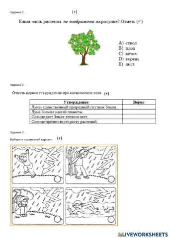 Задание по естествознание