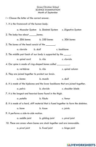 Skeletal system