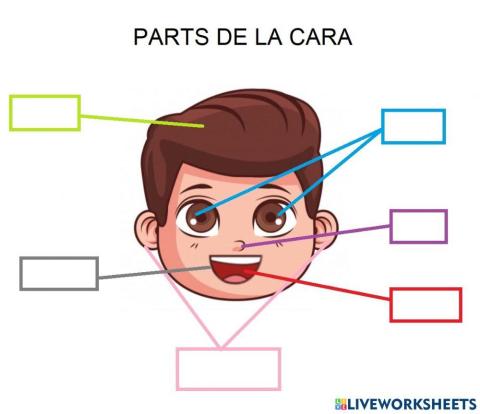 Parts de la cara