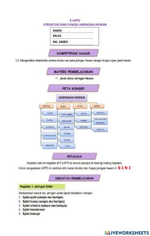 LKPD Jaringan hewan