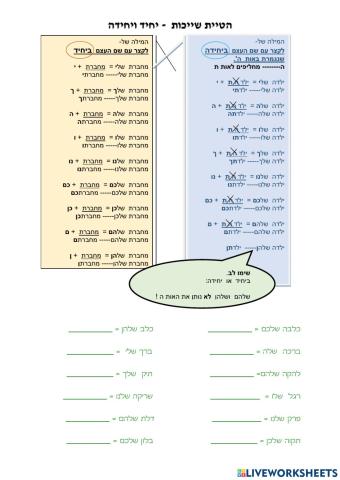 הטיית שייכות יחיד1