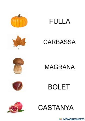 Vocabulari tardor