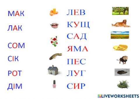 Поєднай картинки та слова