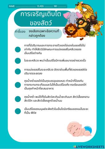 การเจริญเติบโตของสัตว์