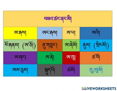 Family Member Chart