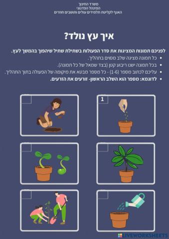 עברית כשפה שנייה