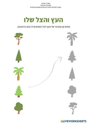 עברית כשפה שנייה