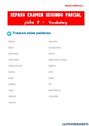 Ficha 7 vocabulary