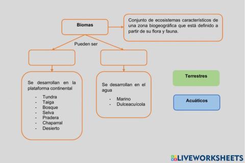 Biomas Del Mundo y Conservación