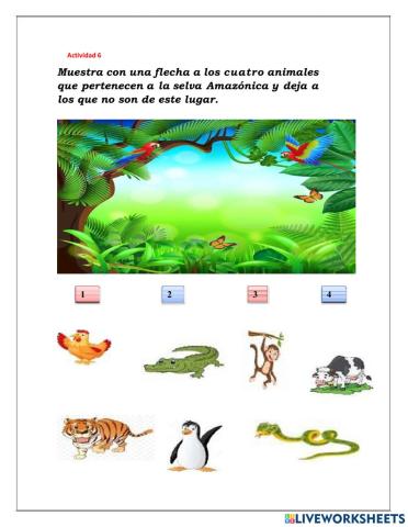 Qué animales son de la selva