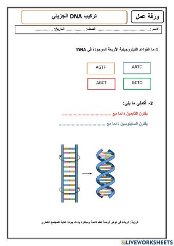 ورقة عما 1