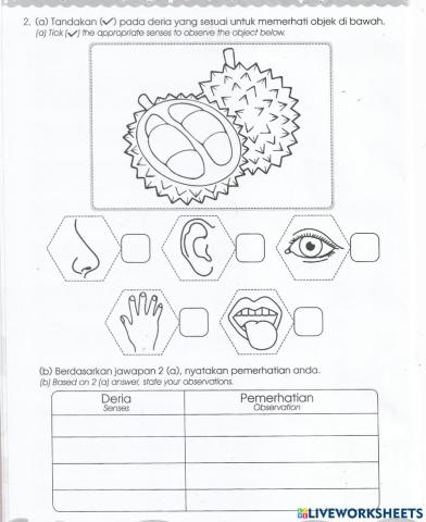 Bab 1 kemahiran saintifik