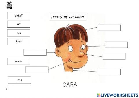 Parts de la cara