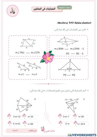 المتباينات في المثلثين