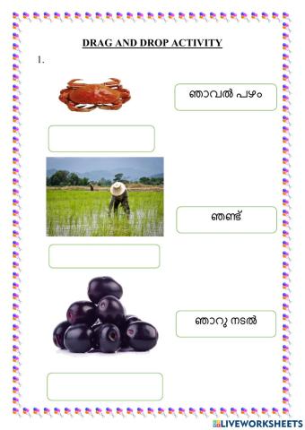 Malayalam