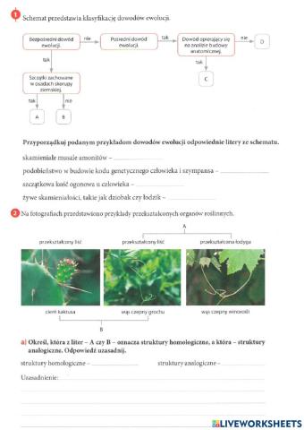 Ewolucja życia - KARTA PRACY