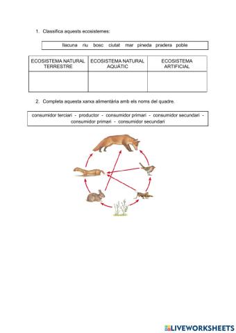 Ecosistemes i xarxes