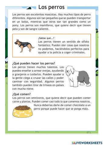 Lectura - Los perros