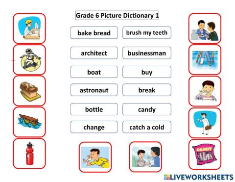 Grade Six Picture Dictionary