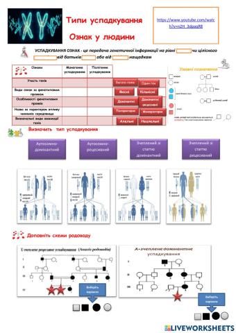 Типи успадкування  ознак у людини