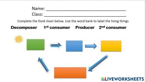 Simple food chain