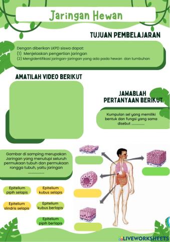 Jaringan Hewan & Yumbuhan