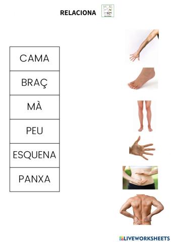 Relacionar vocabulari parts del cos 1