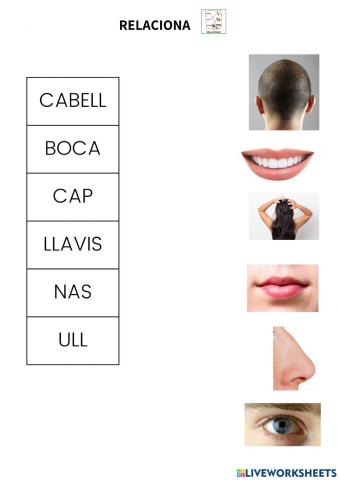 Relacionar vocabulari parts del cos 2