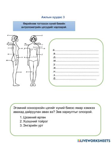 Антропометр цэг