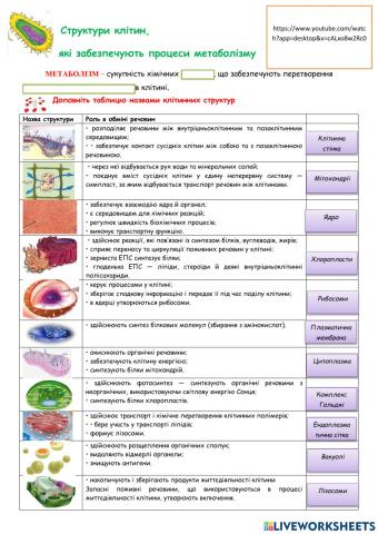Структури клітин,  які забезпечують процеси метаболізму